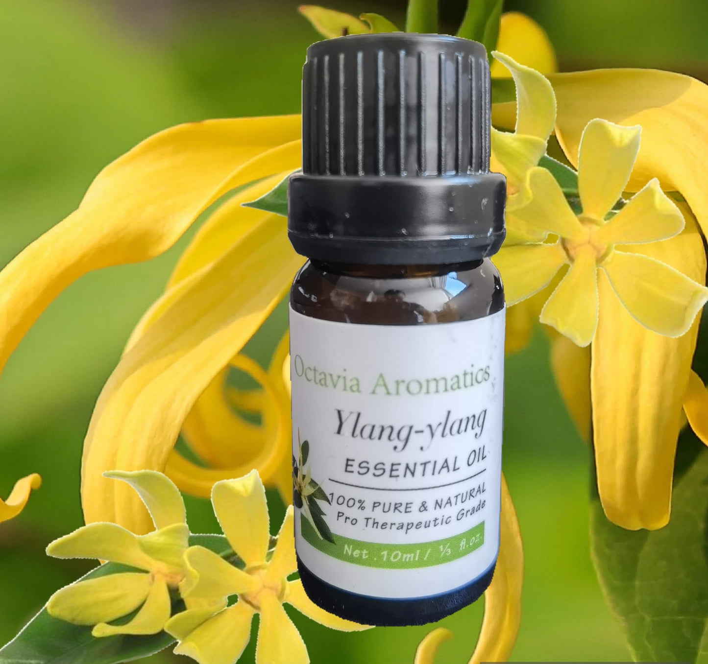 Essential Oils