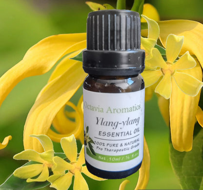 Essential Oils